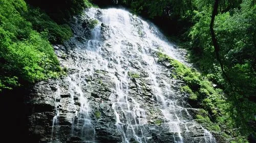 高端信息化